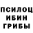 Псилоцибиновые грибы Psilocybe Robert Matias