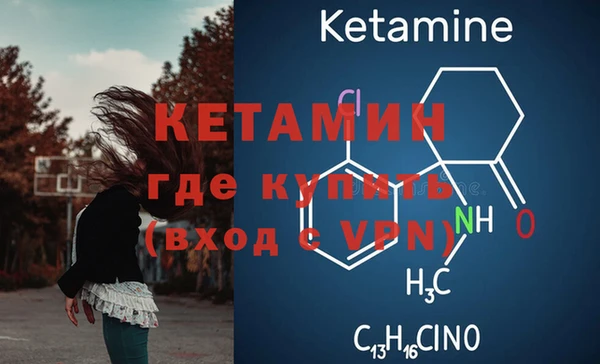 гидропоника Дмитриев
