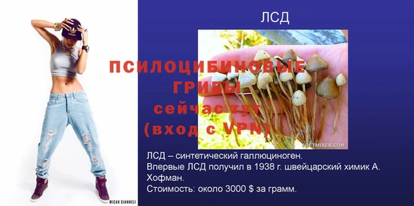 бошки Гусиноозёрск