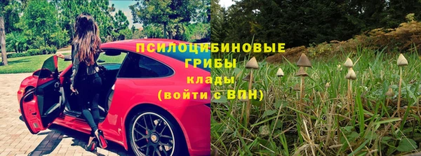 бошки Гусиноозёрск