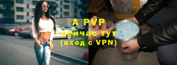 бошки Гусиноозёрск