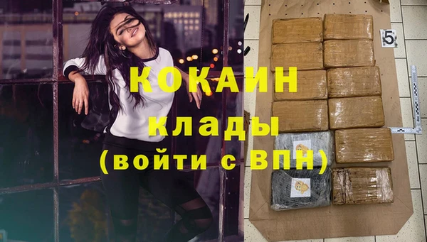 дмт Гусев