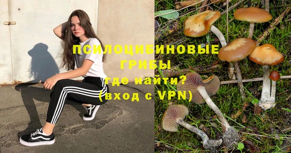 дмт Гусев