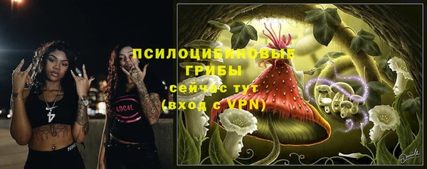 бошки Гусиноозёрск