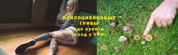 дмт Гусев