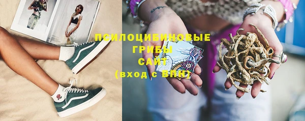 бошки Гусиноозёрск