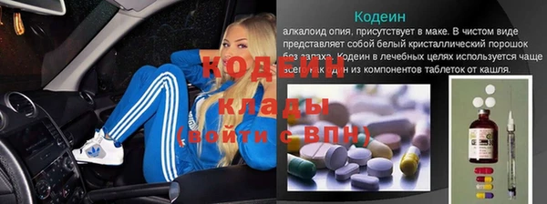 дмт Гусев