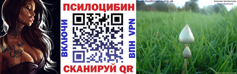 Галлюциногенные грибы Magic Shrooms  кракен рабочий сайт  Малаховка 